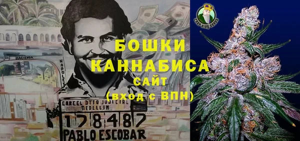 Альфа ПВП Белокуриха