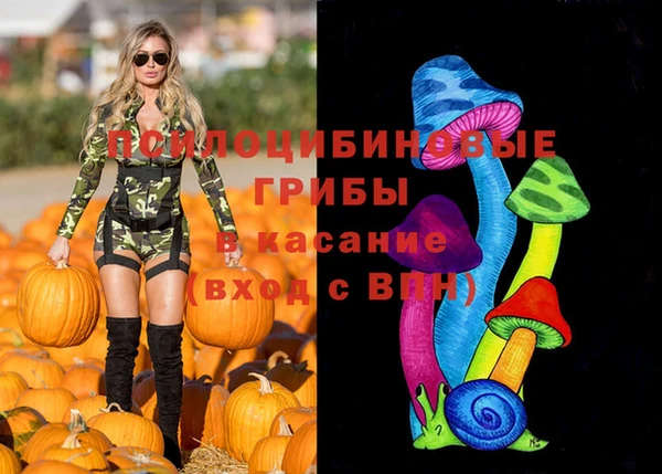 ECSTASY Богородицк