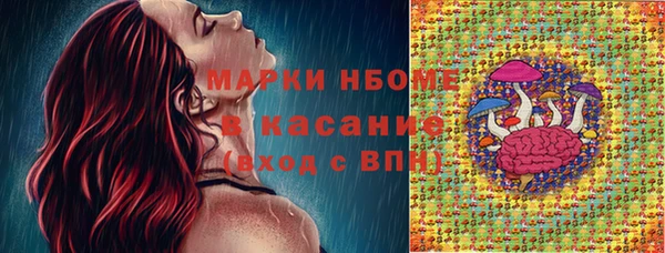 хмурый Богородск