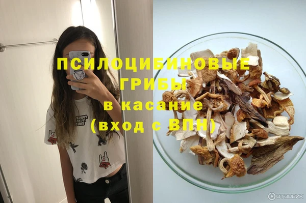 Альфа ПВП Белокуриха