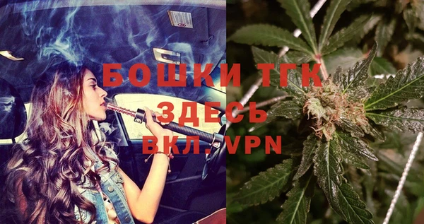 Альфа ПВП Белокуриха